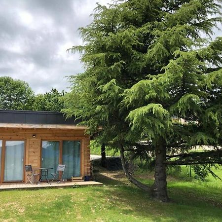 Studio-Mazot De Charme 26 M2 Parc Chartreuse Vimines Kültér fotó